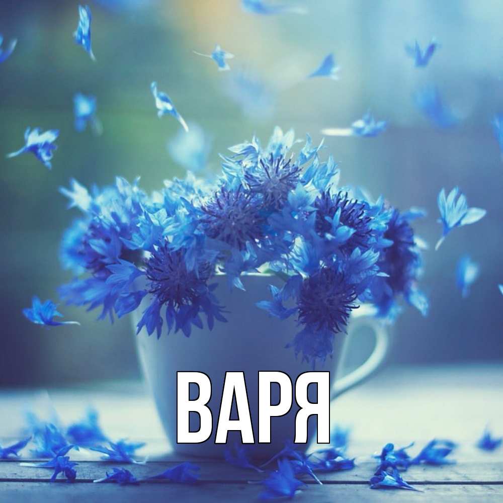Открытка  с именем. варя, Главная  