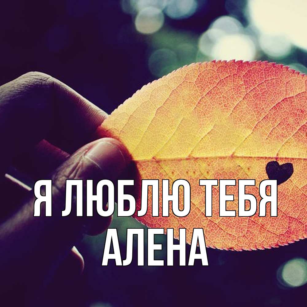 Открытка  с именем. Алена, Я люблю тебя  