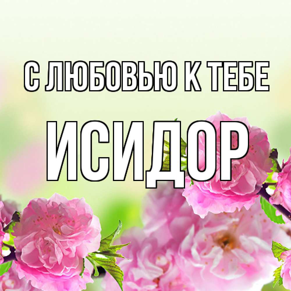 Открытка  с именем. Исидор, С любовью к тебе  