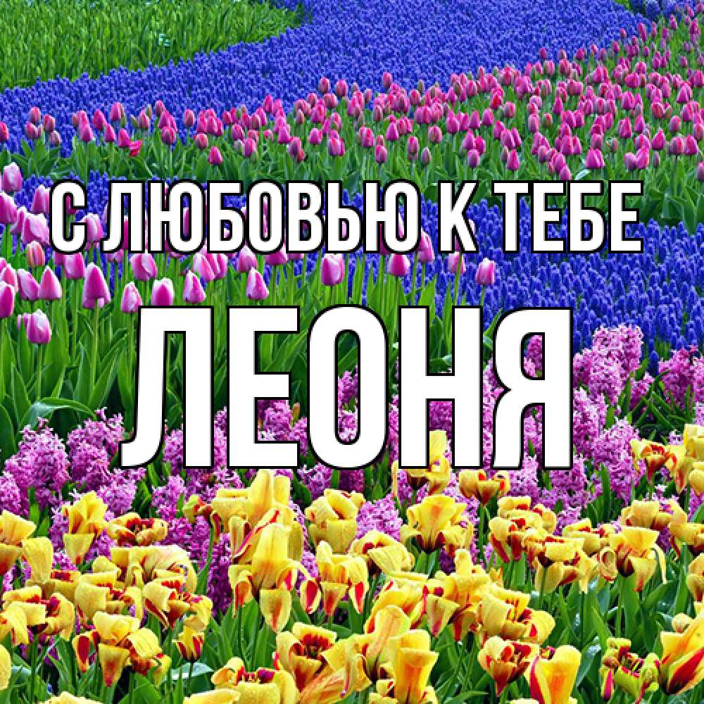 Открытка  с именем. Леоня, С любовью к тебе  