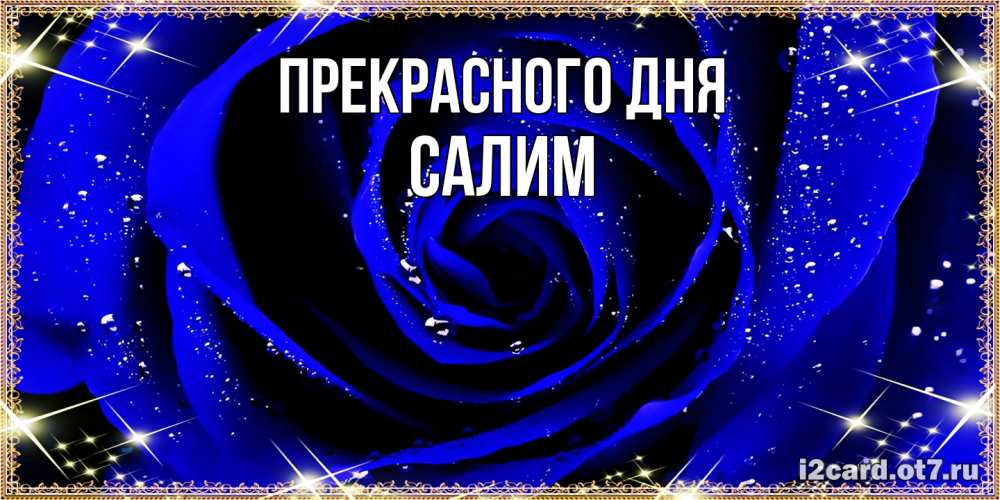 Открытка  с именем. Салим, Прекрасного дня  