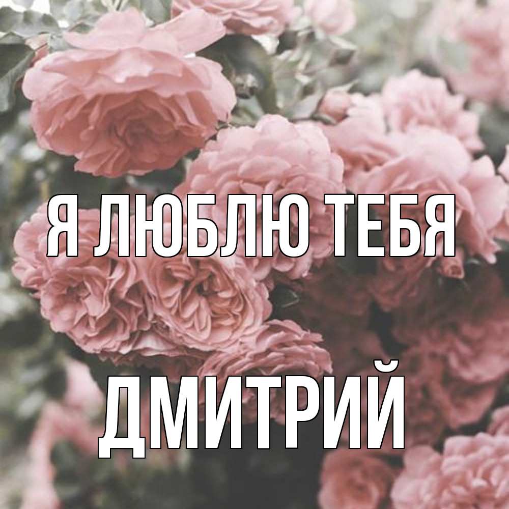Открытка  с именем. дмитрий, Я люблю тебя  
