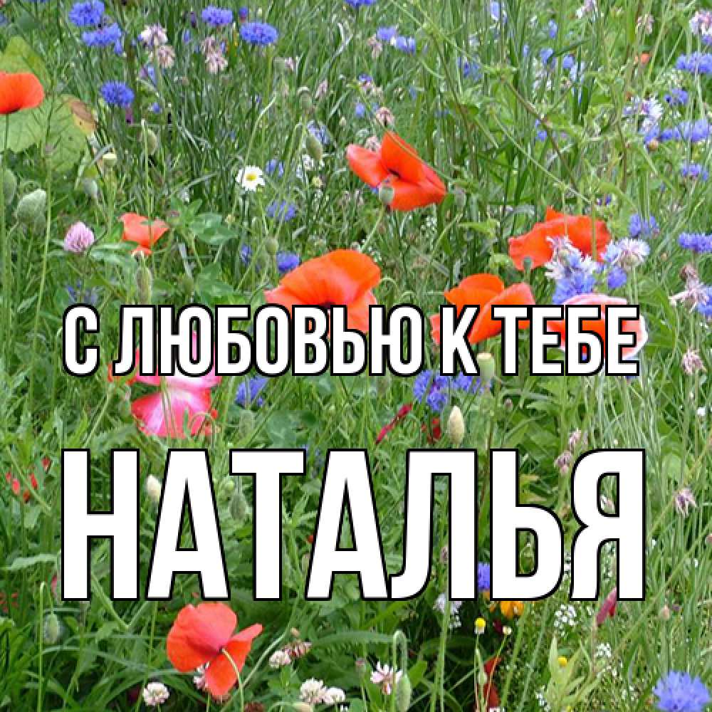 Открытка  с именем. Наталья, С любовью к тебе  