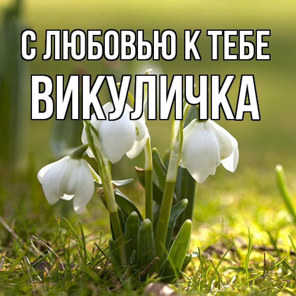 Открытка  с именем. Викуличка, С любовью к тебе  