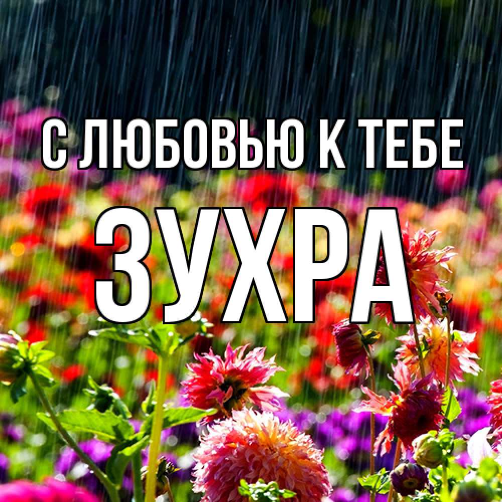 Открытка  с именем. Зухра, С любовью к тебе  
