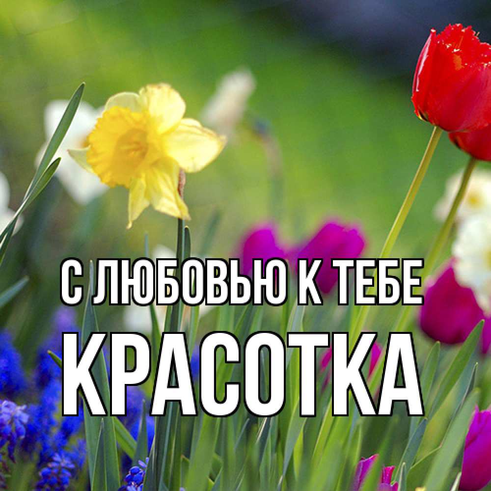 Открытка  с именем. Красотка, С любовью к тебе  