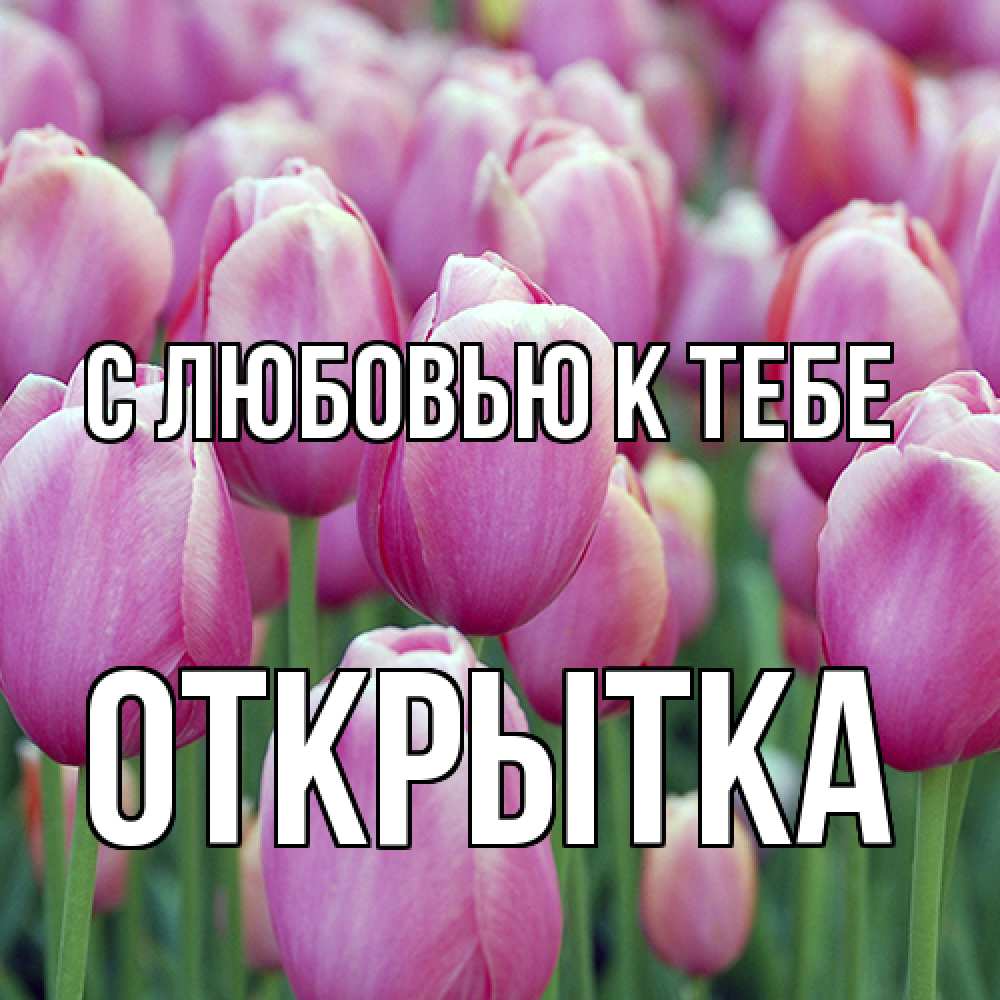 Открытка  с именем. открытка, С любовью к тебе  