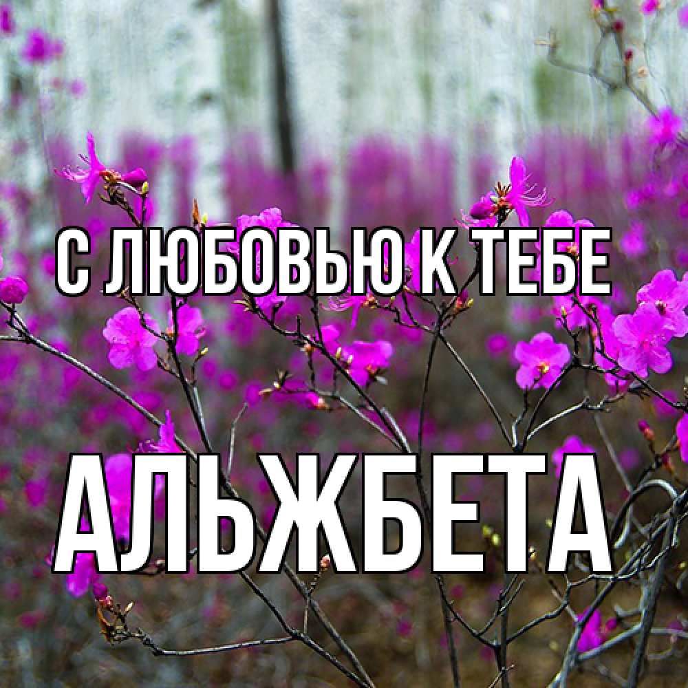 Открытка  с именем. Альжбета, С любовью к тебе  