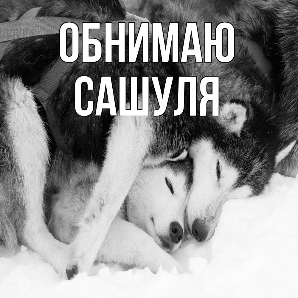 Открытка  с именем. Сашуля, Обнимаю  