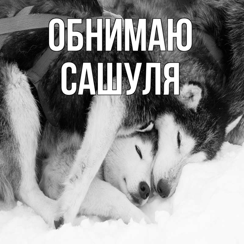 Картинка Обнимаю, Сашуля