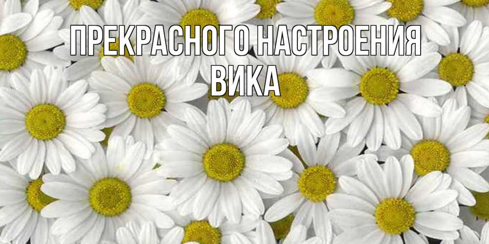 Открытка  с именем. Вика, Прекрасного настроения  