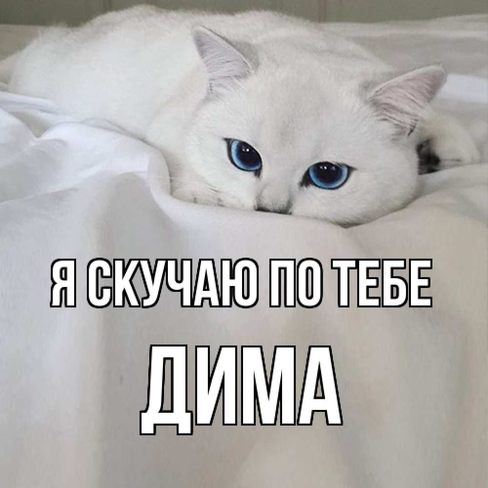Открытка  с именем. Дима, Я скучаю по тебе  