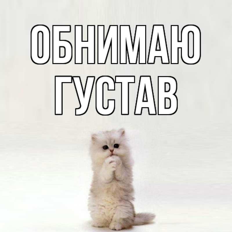 Картинка Обнимаю, Густав