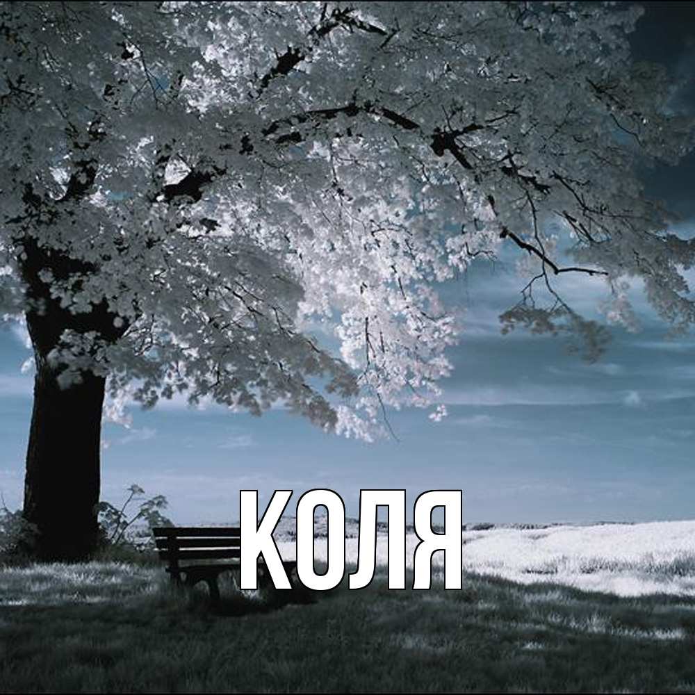 Открытка  с именем. коля, Главная  