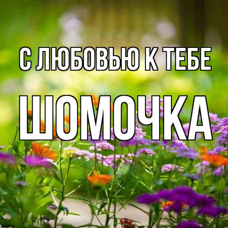 Картинка С любовью к тебе, Шомочка