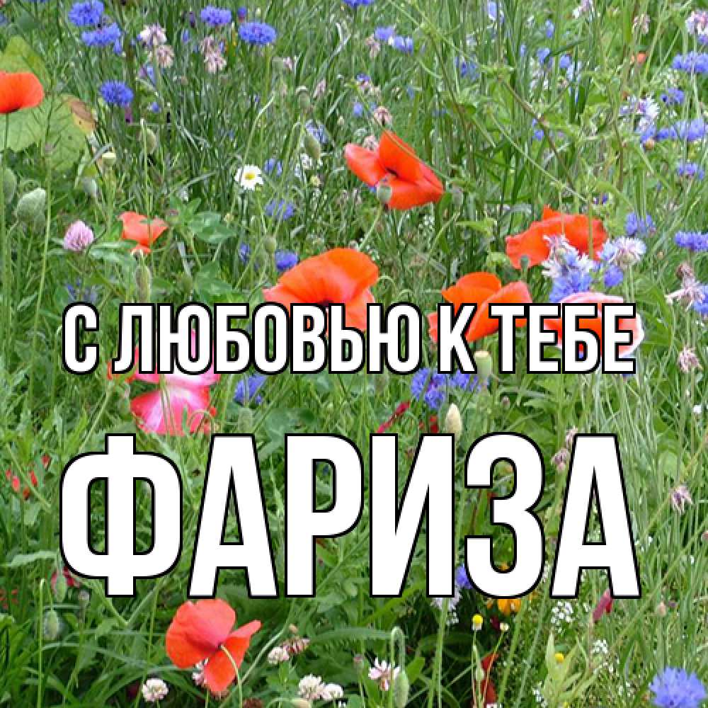 Открытка  с именем. Фариза, С любовью к тебе  