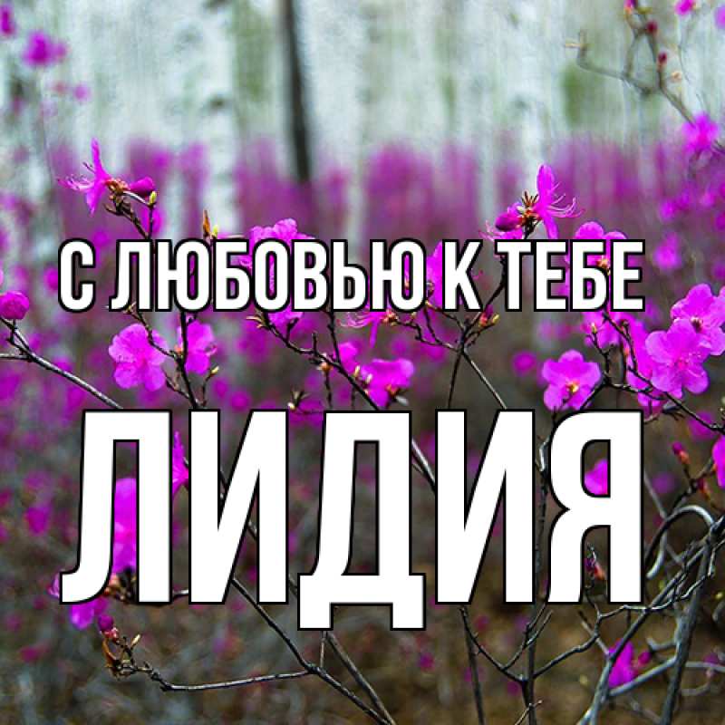 Картинка С любовью к тебе, лидия