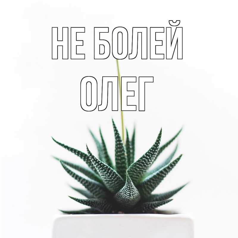 Картинка Не болей, олег