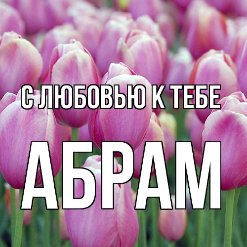 Картинка С любовью к тебе, Абрам