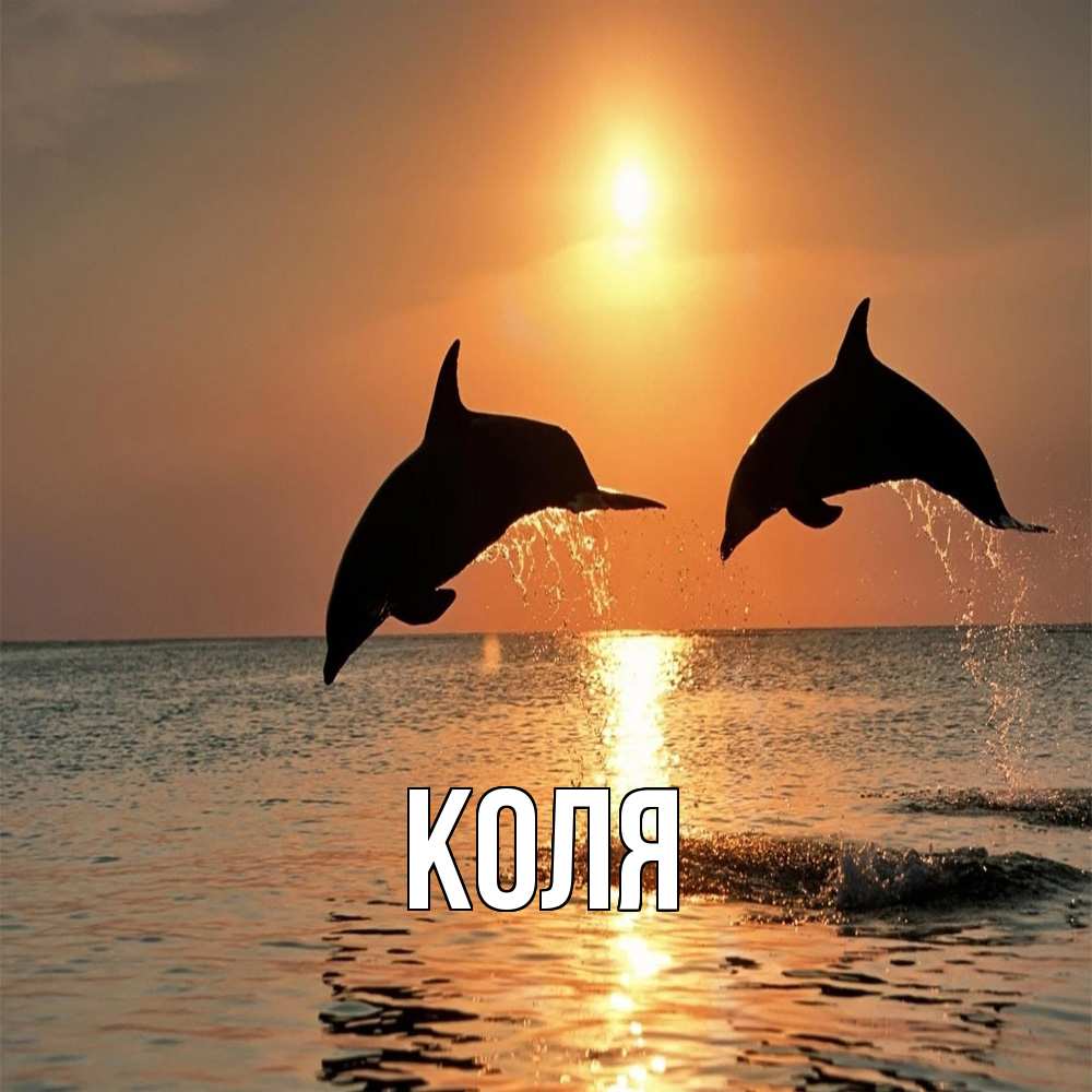 Открытка  с именем. коля, Главная  