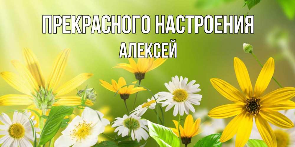 Открытка  с именем. Алексей, Прекрасного настроения  