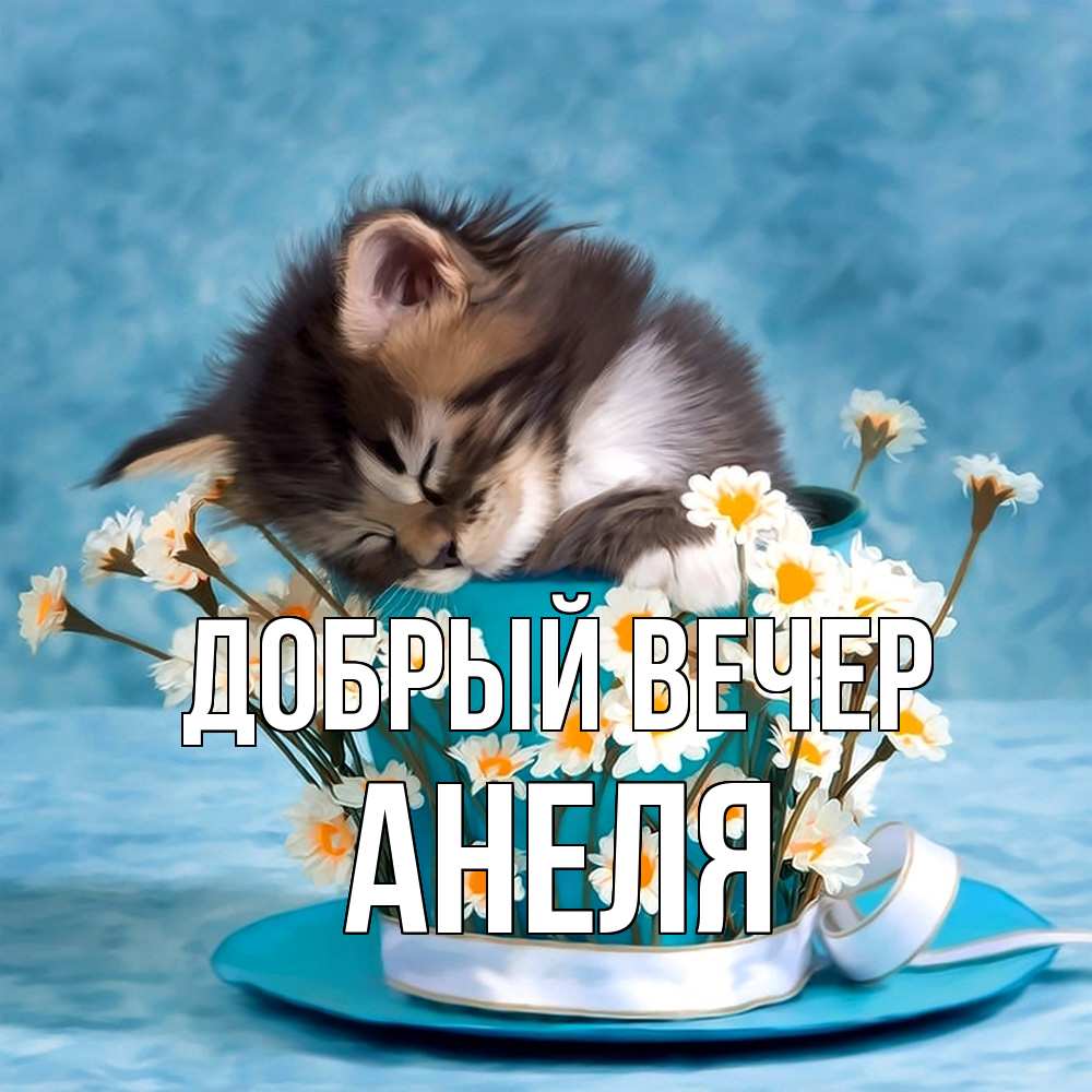 Открытка  с именем. Анеля, Добрый вечер  