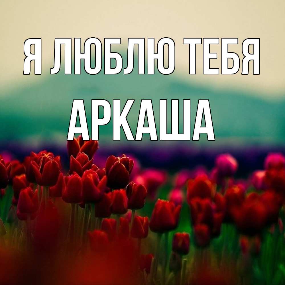 Открытка  с именем. Аркаша, Я люблю тебя  