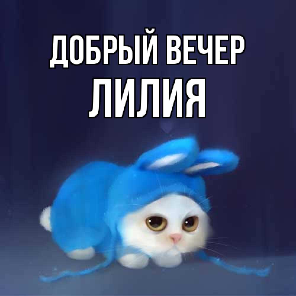 Добрый Вечер Лилия Картинки