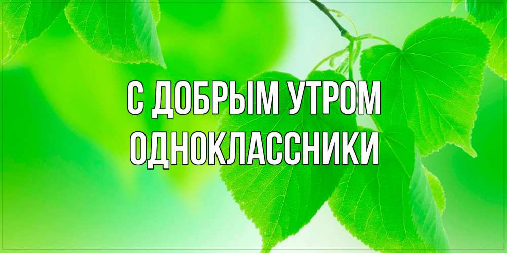 Открытка  с именем. Одноклассники, С добрым утром  