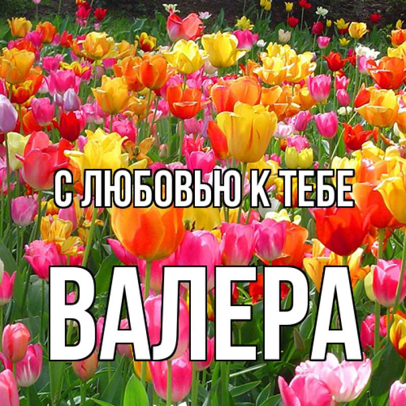 Картинка С любовью к тебе, Валера