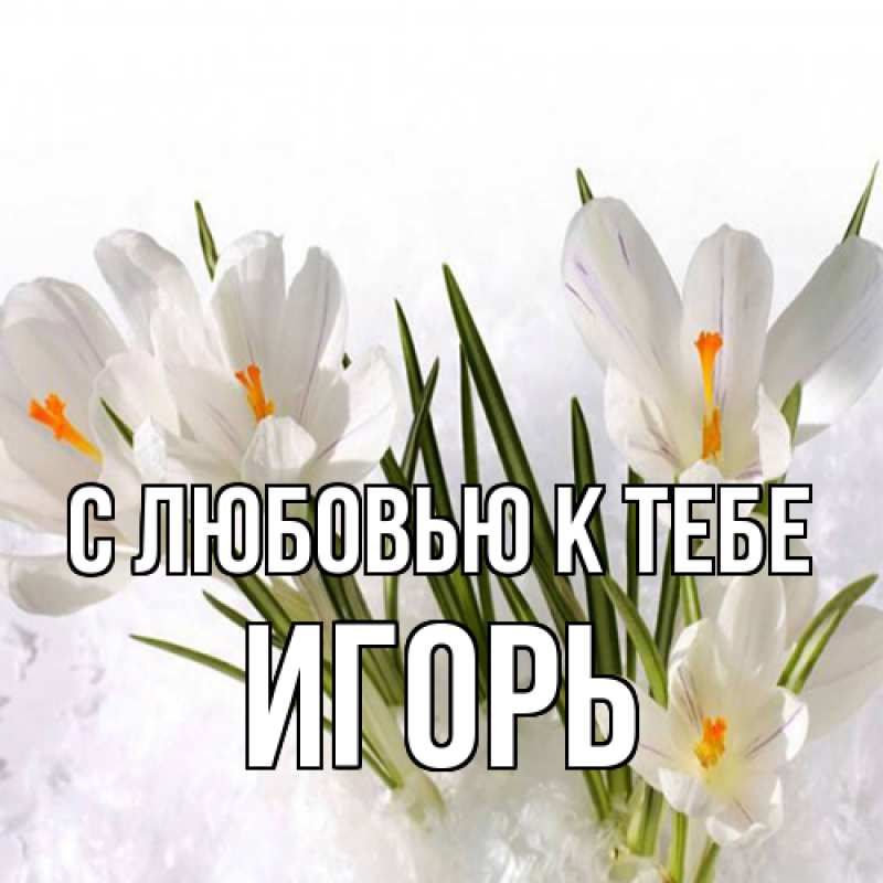 Картинка С любовью к тебе, Игорь