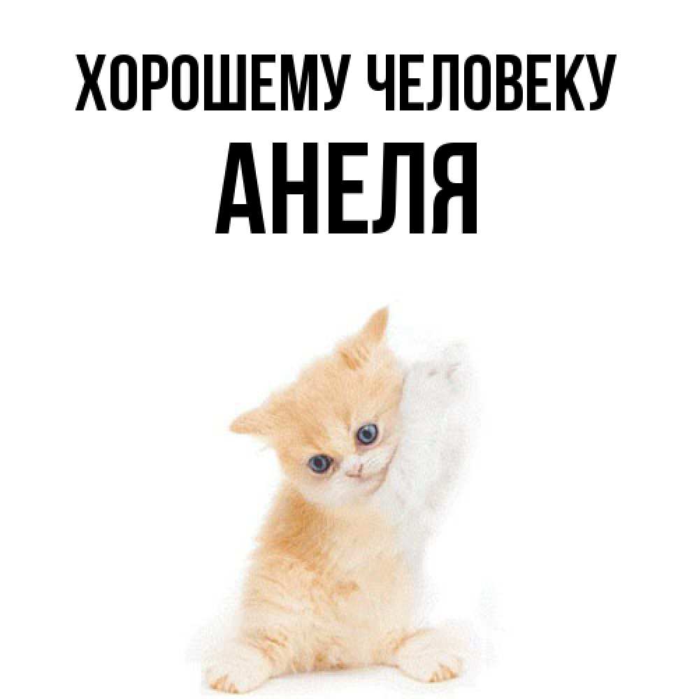 Открытка  с именем. Анеля, Хорошему человеку  