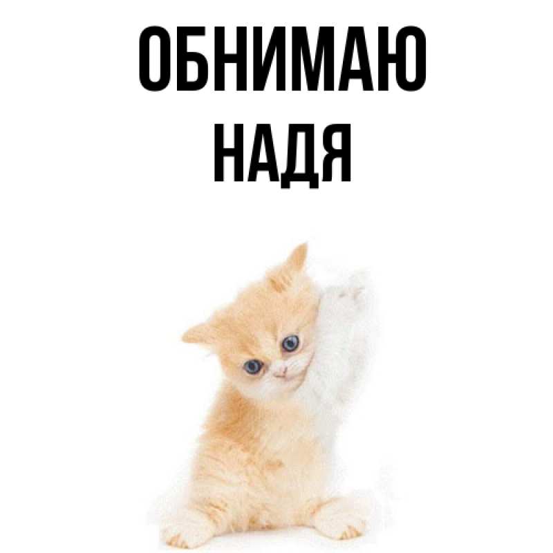 Картинка Обнимаю, Надя