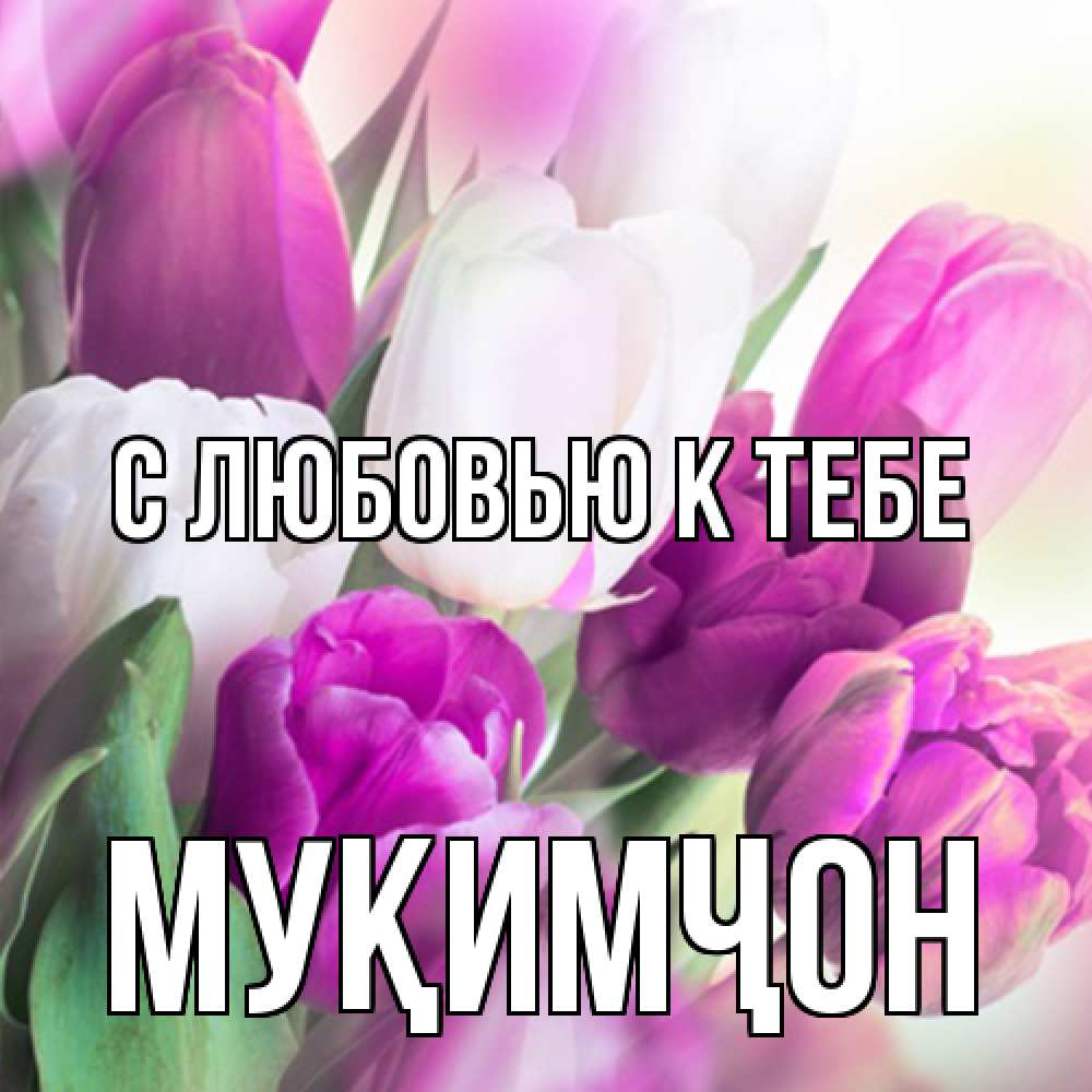 Открытка  с именем. Муқимҷон, С любовью к тебе  