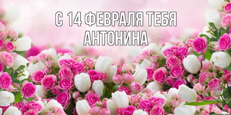 Открытка с именем, Антонина, С 14 февраля тебя