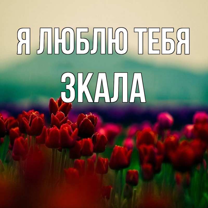 Картинка Я люблю тебя, ЗКАЛА