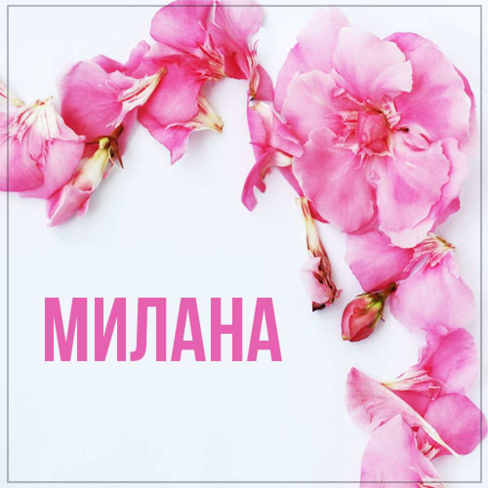 Открытка  с именем. Милана, Главная  