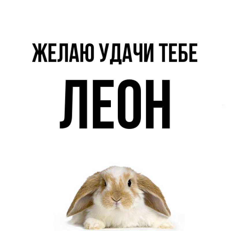 Картинка Желаю удачи тебе, Леон