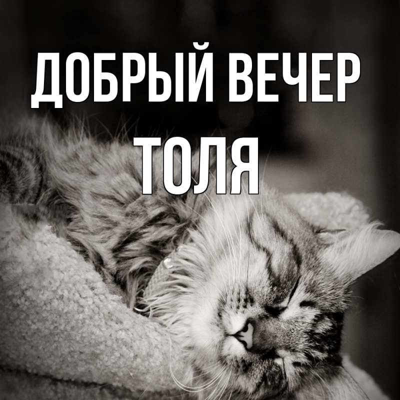Картинка Добрый вечер, ТОЛЯ