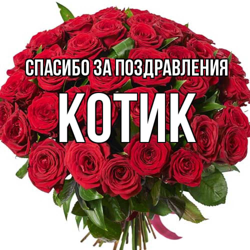 Открытка  с именем. КОТИК, Спасибо за поздравления  