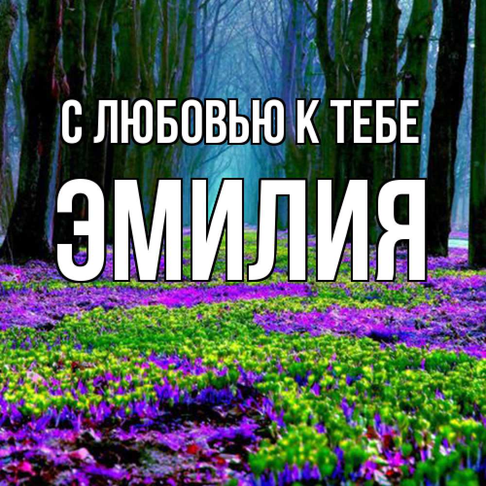 Открытка  с именем. Эмилия, С любовью к тебе  