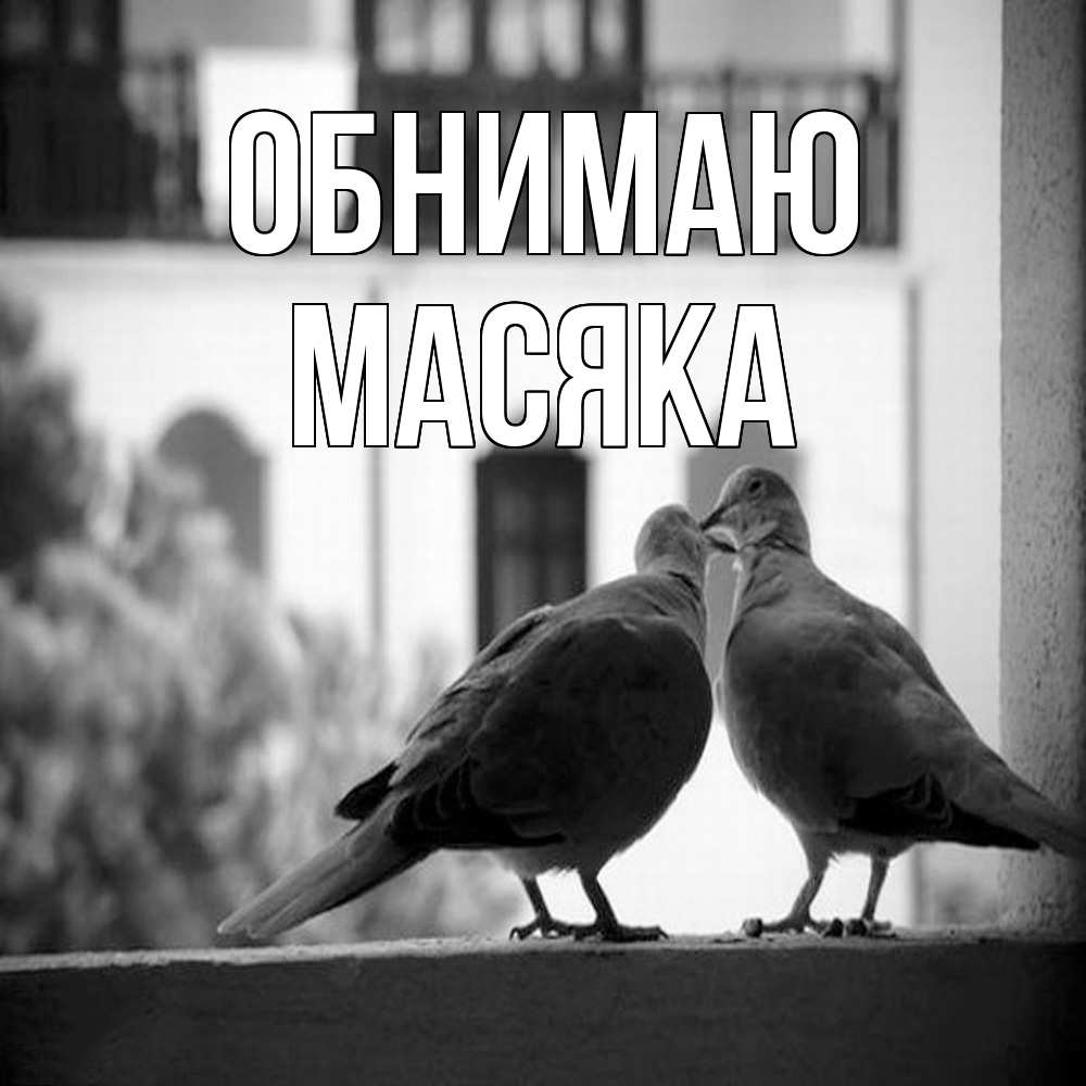 Открытка  с именем. Масяка, Обнимаю  