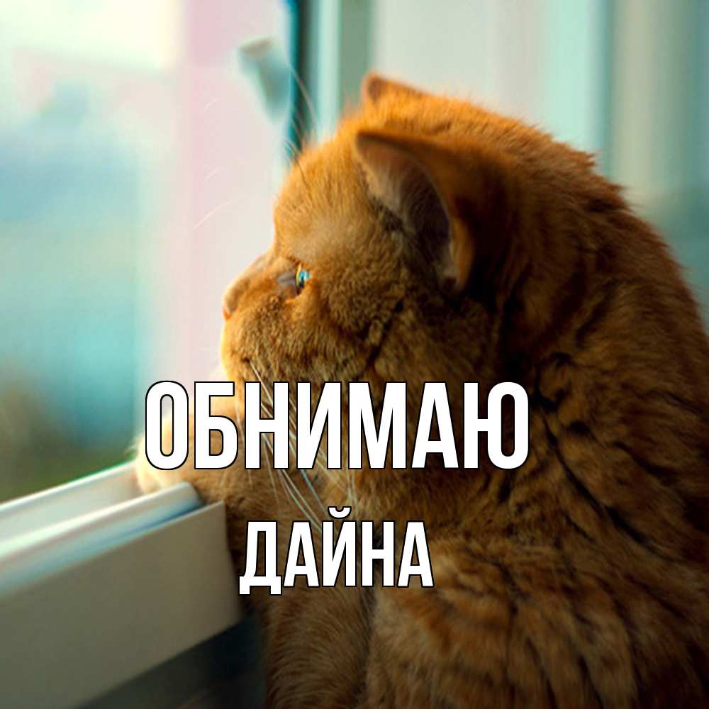 Открытка  с именем. Дайна, Обнимаю  