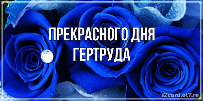 Картинка Прекрасного дня, Гертруда