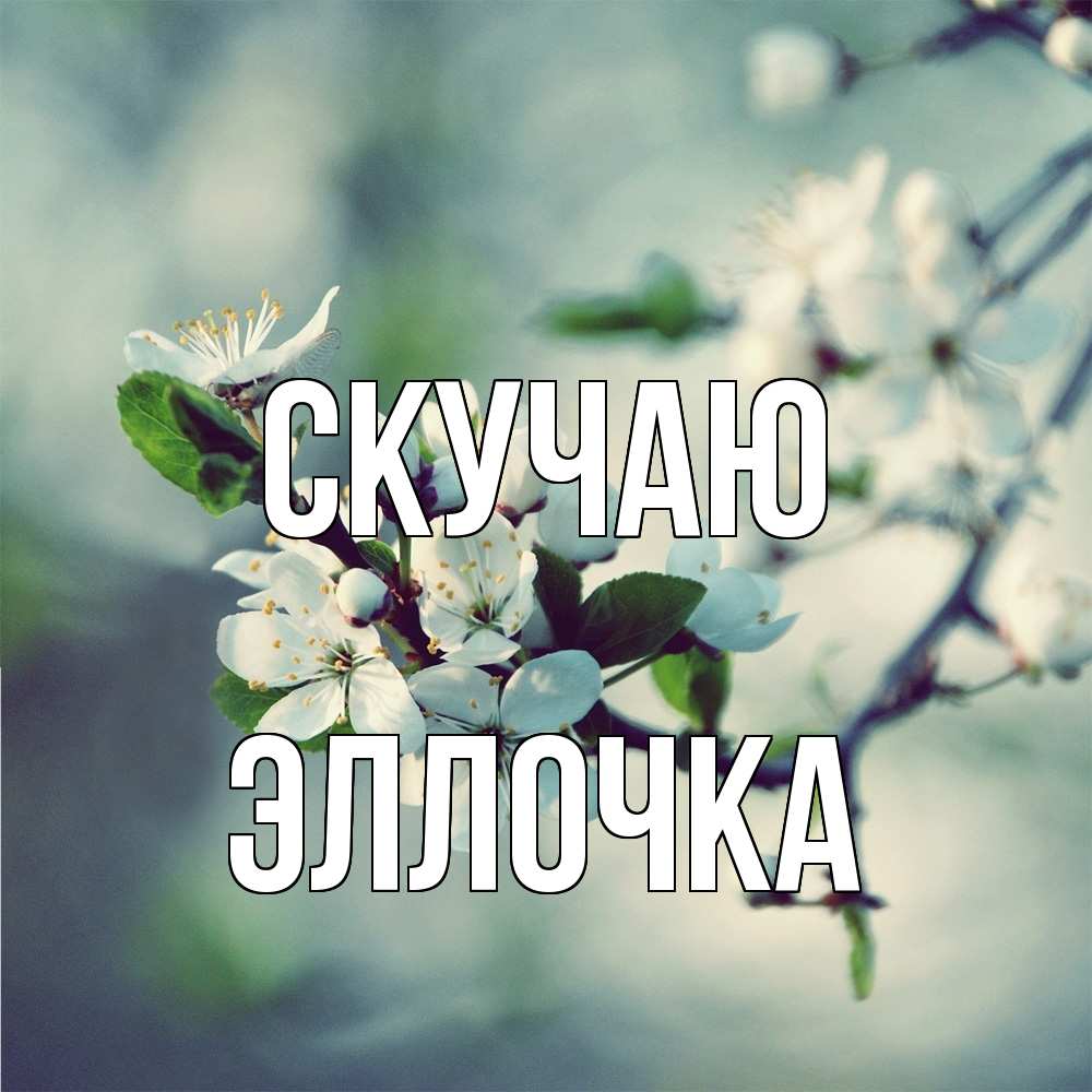 Открытка  с именем. Эллочка, Скучаю  