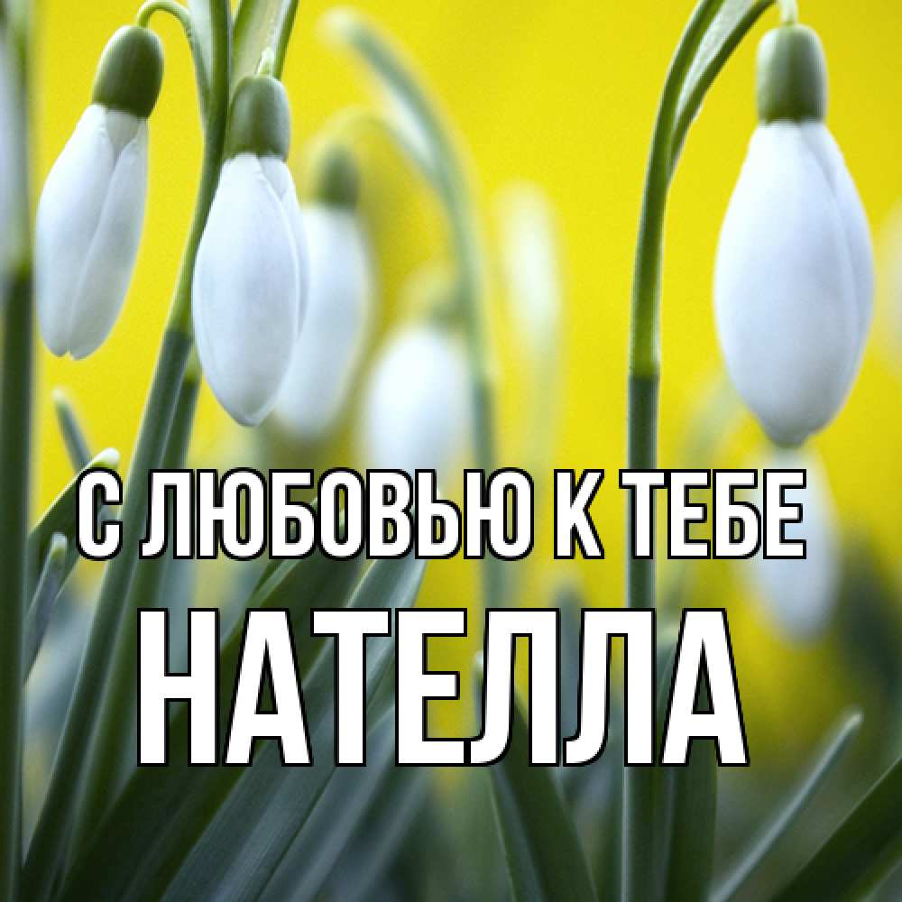 Открытка  с именем. Нателла, С любовью к тебе  