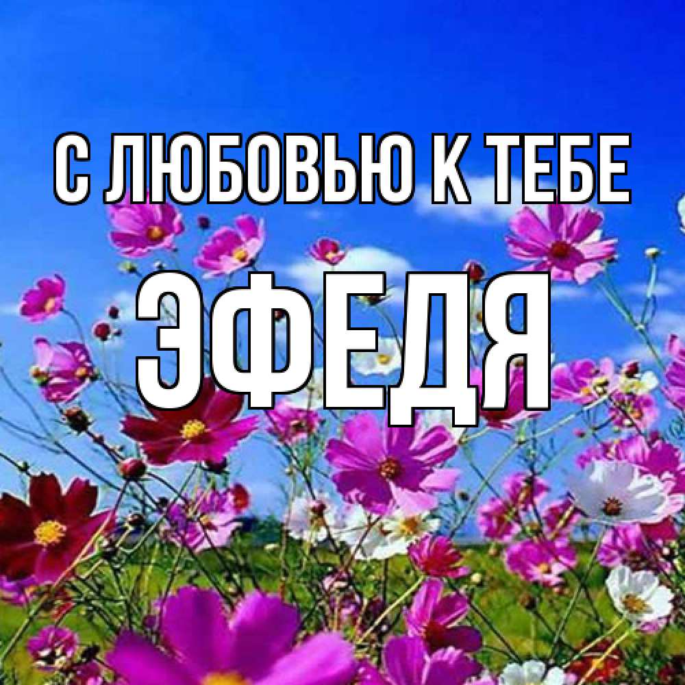 Открытка  с именем. ЭФедя, С любовью к тебе  