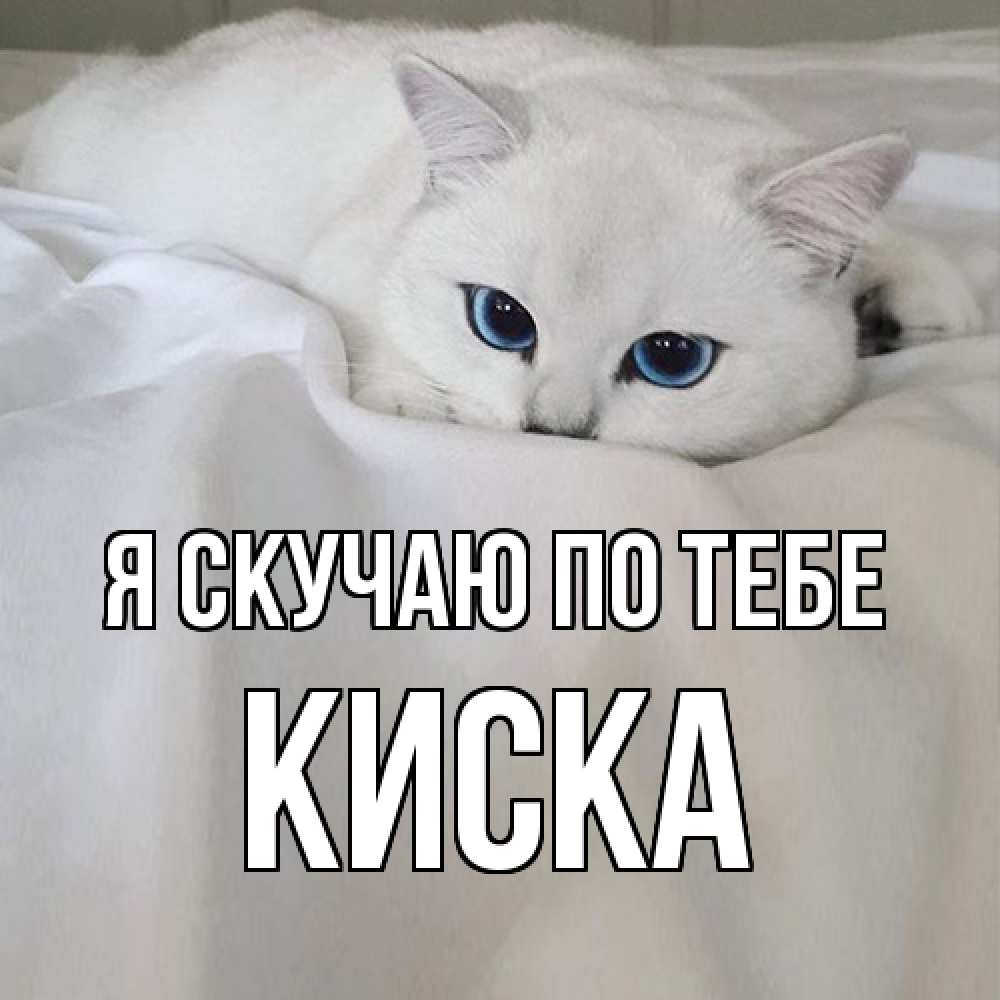Открытка  с именем. Киска, Я скучаю по тебе  