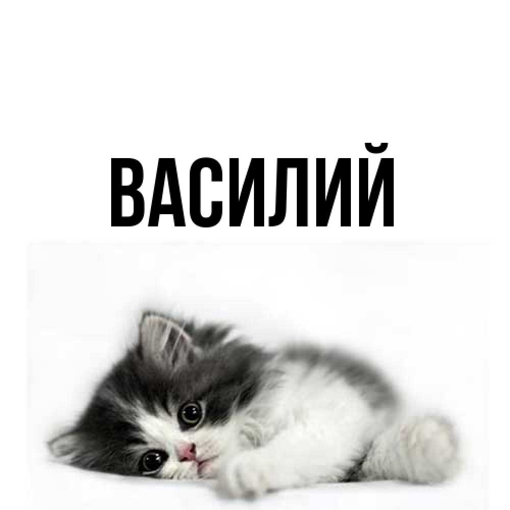 Открытка  с именем. Василий, Главная  