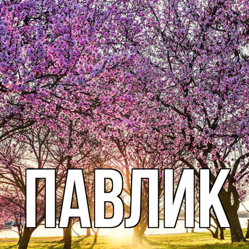 Картинка  с именем , Павлик